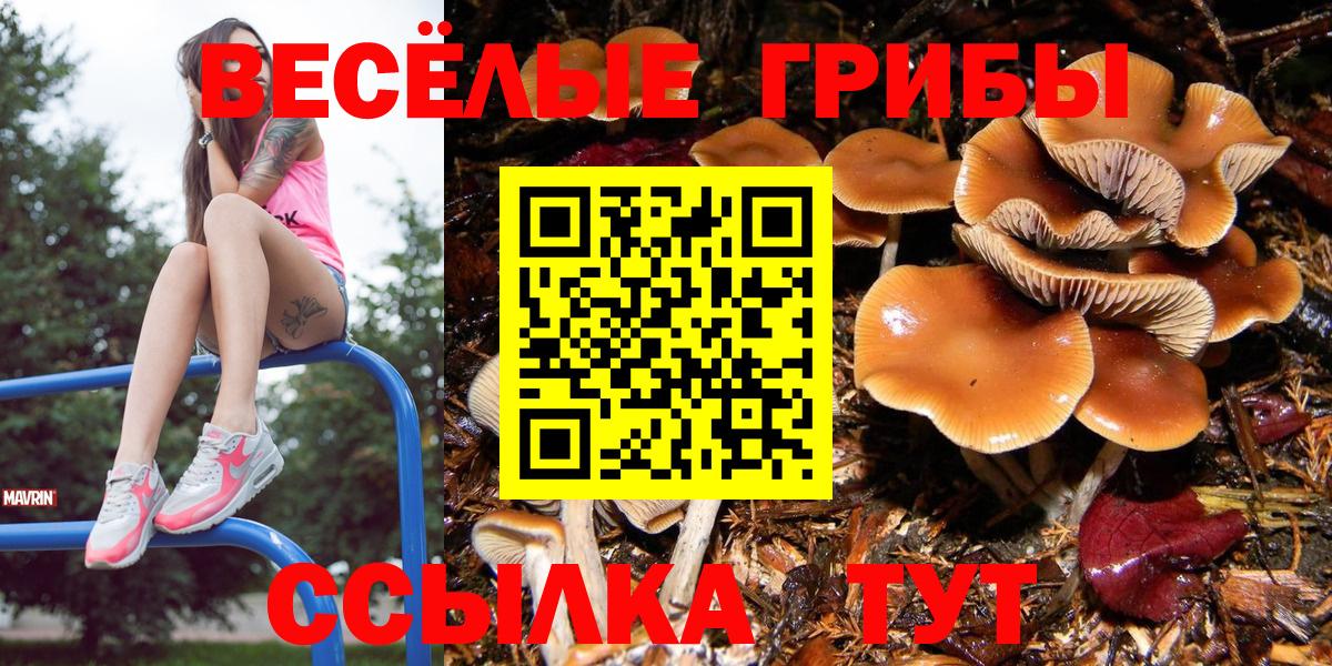Галлюциногенные грибы GOLDEN TEACHER  Вход с VPN  Домодедово  Псилоцибиновые грибы Psilocybine cubensis 